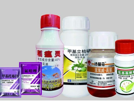 農藥為什麽貼農藥草莓视频在线污下载標簽，有什麽價值？