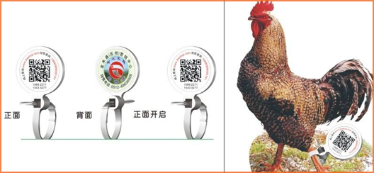 家禽溯源吊牌草莓视频在线污下载標簽,消除食品安全隱患