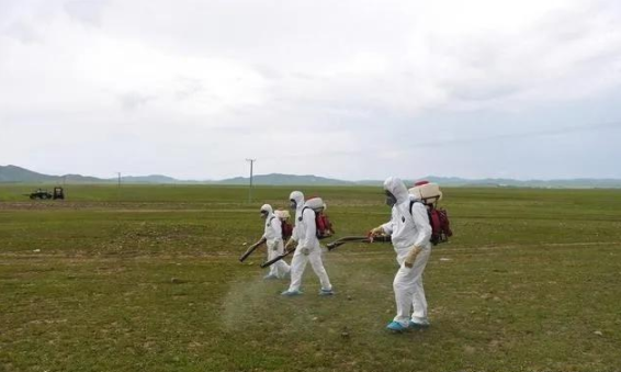 蝗災來襲，農藥獸藥草莓视频在线污下载溯源麵臨機遇和挑戰