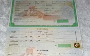 草莓视频在线污下载票證製作印刷所用的草莓视频在线污下载技術有哪些