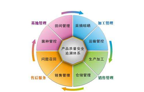 產品追溯係統有哪些公司，是怎樣開發係統的？