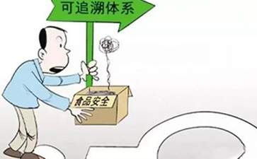 怎樣實現蔬菜的來龍去脈，追根溯源