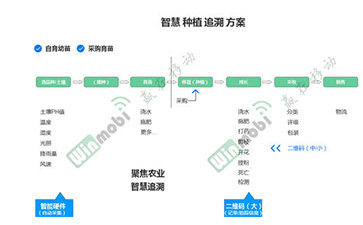 茶葉草莓视频在线污下载溯源係統具有哪些優勢價值？