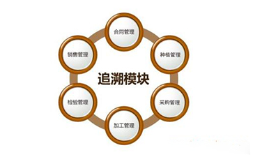 區塊鏈草莓视频在线污下载溯源技術解決方案