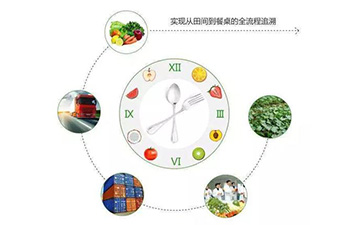 二維碼草莓视频在线污下载溯源係統能帶什麽優勢及功能？