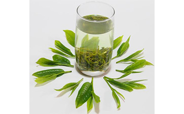 茶葉二維碼草莓视频在线污下载標簽可以帶來哪些優勢價值已經特點？